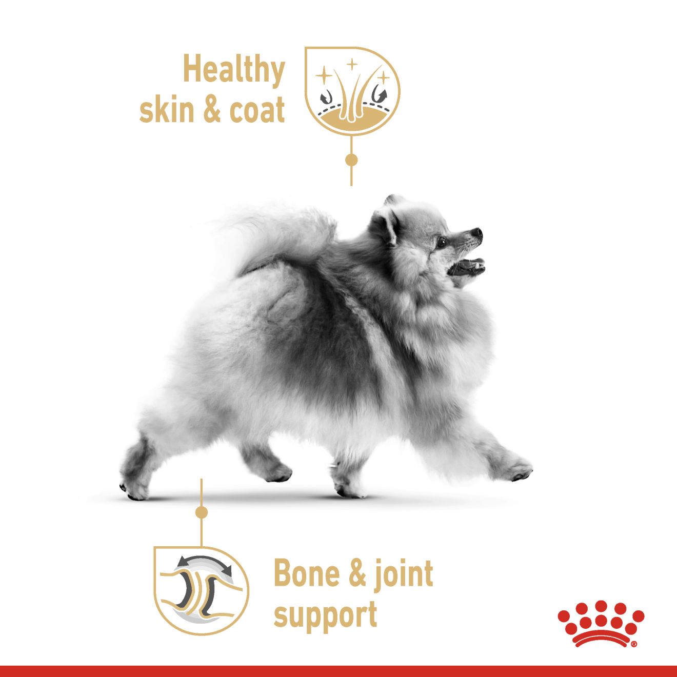 Royal Canin BHN Pomeranian Adult Dry Dog Food 3kg